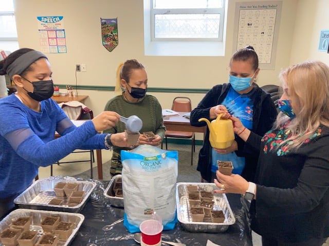 Amityville Seed Planting